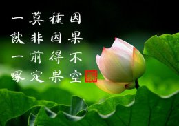  星云法师：因果才是人间最公平的仲裁者