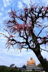 美丽寺院 | 弥勒道场 · 宁波奉化雪窦山