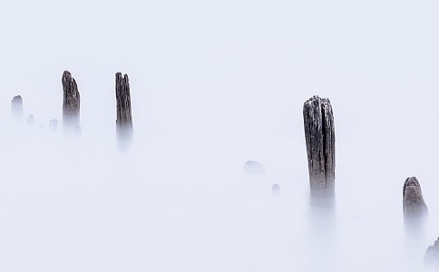 永生的解脱之门——禅