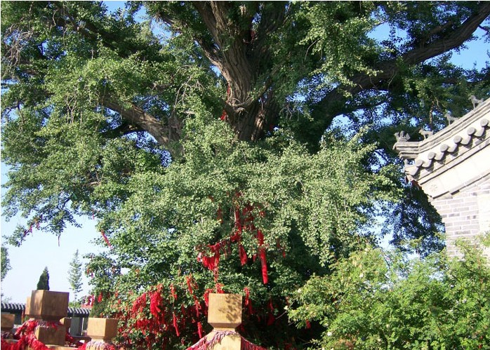 大连永兴寺