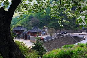 鞍山中会寺