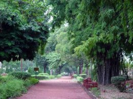 佛教史上第一座寺院竹林精舍—印度寺院